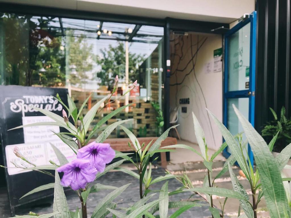 Bloomz Hostel Chiang Mai Exterior foto